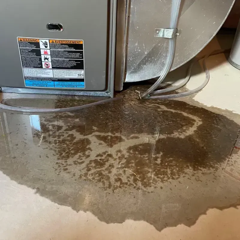 Appliance Leak Cleanup in Adamsville, TN